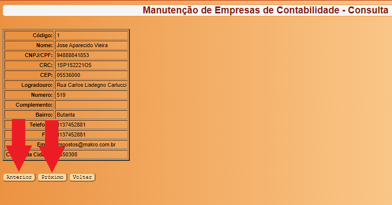 Arquivo:Tela de Consulta Contabilidade P e A.png